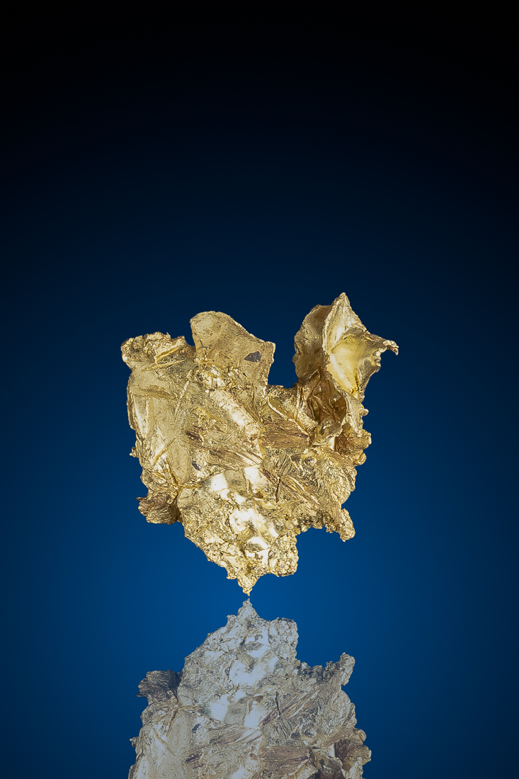 (image for) Stunning Layered Leaf Gold Specimen - Harvard Gold Mine, California